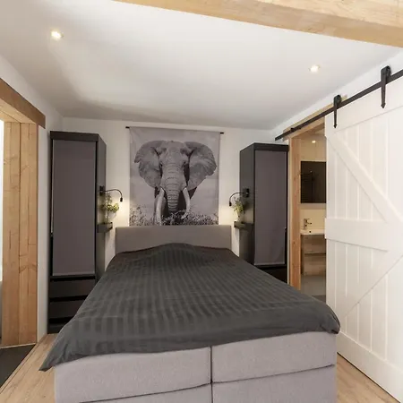 Luxurious Furnished With Terrace Callantsoog