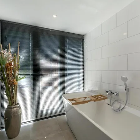 Luxurious Furnished With Terrace Callantsoog